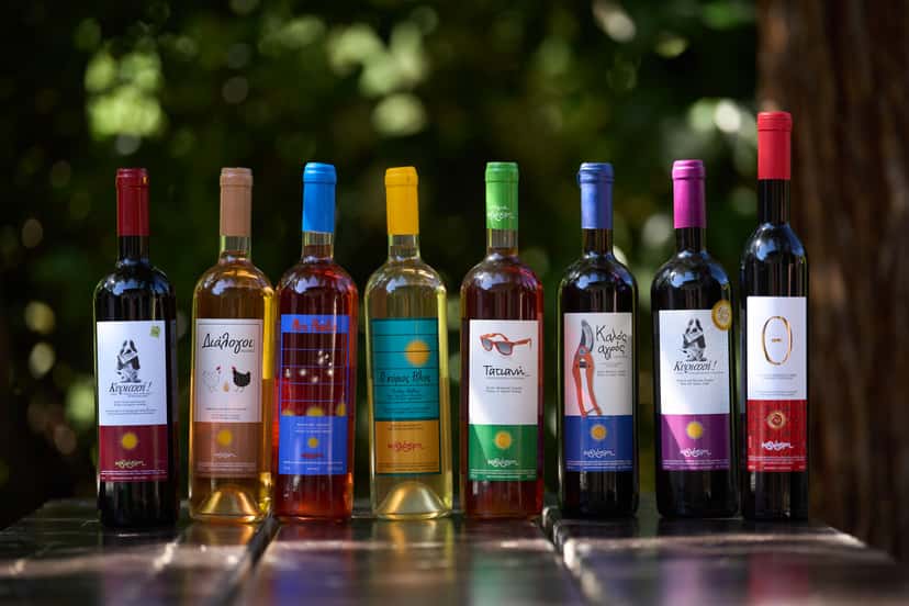 Visite et dégustation de vin au domaine viticole biologique Kalogris