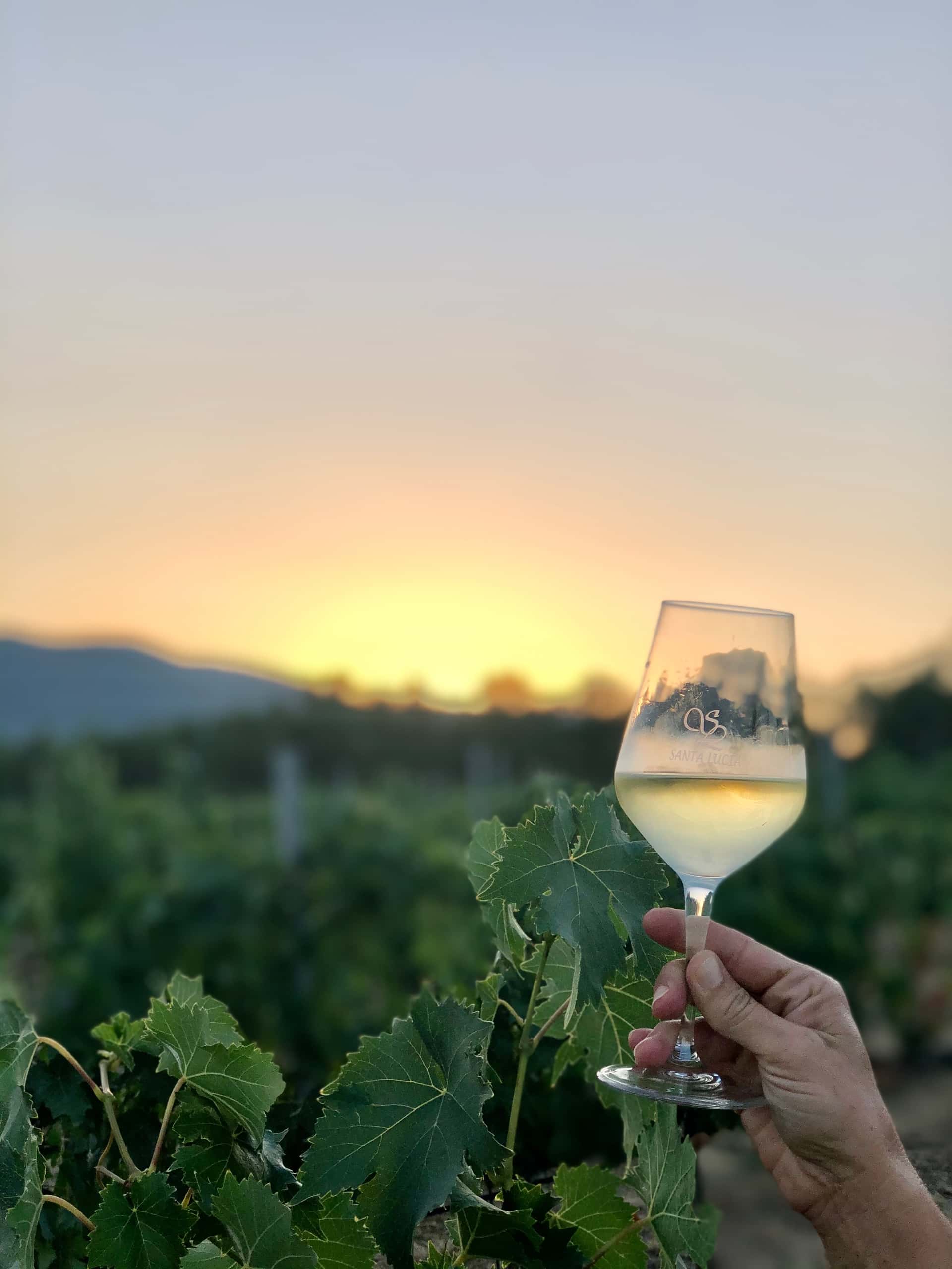 Wine Tasting and Tour at Azienda Agraria Santa Lucia