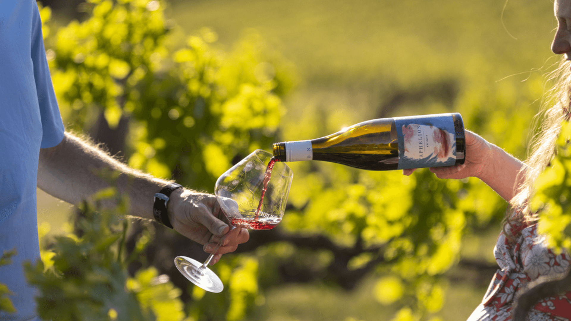 Aphelion Wine foto 2