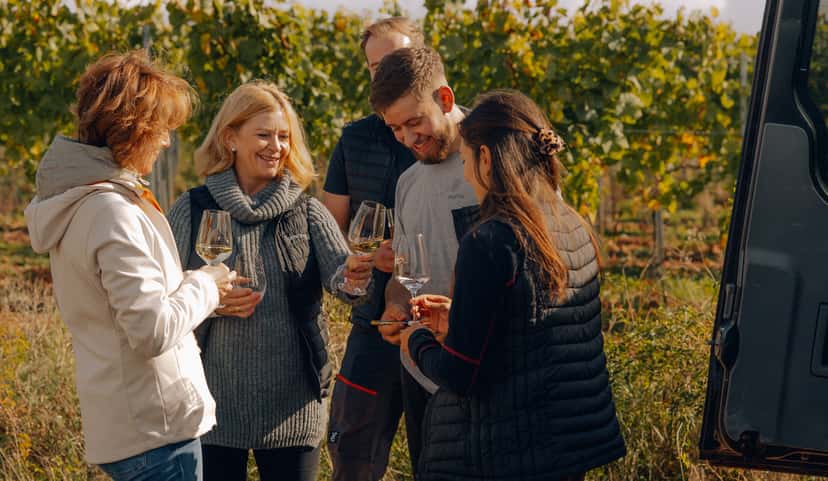 Rheinhessen Roter Hang Wine Discovery at Weingut Gehring