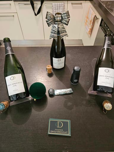 Vintage 2019 - Champagne Oriol-Dérouillat