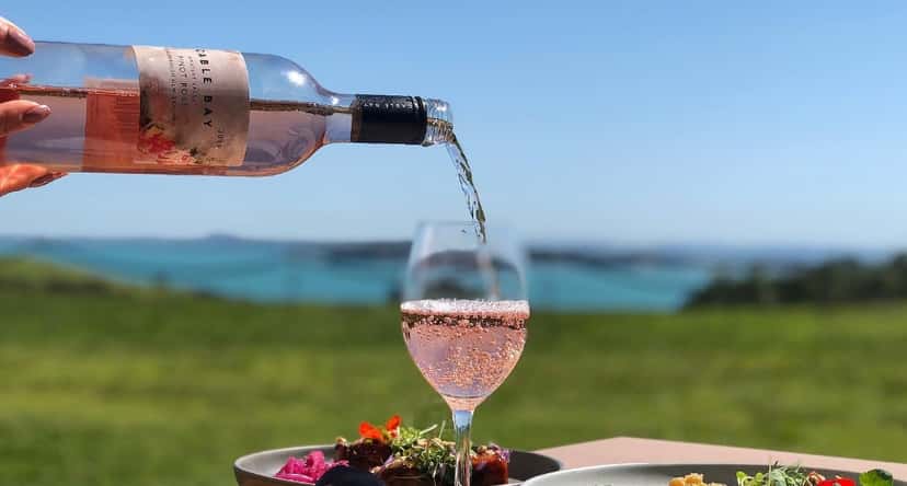 Degustação de vinhos e tour em Cable Bay Vineyards