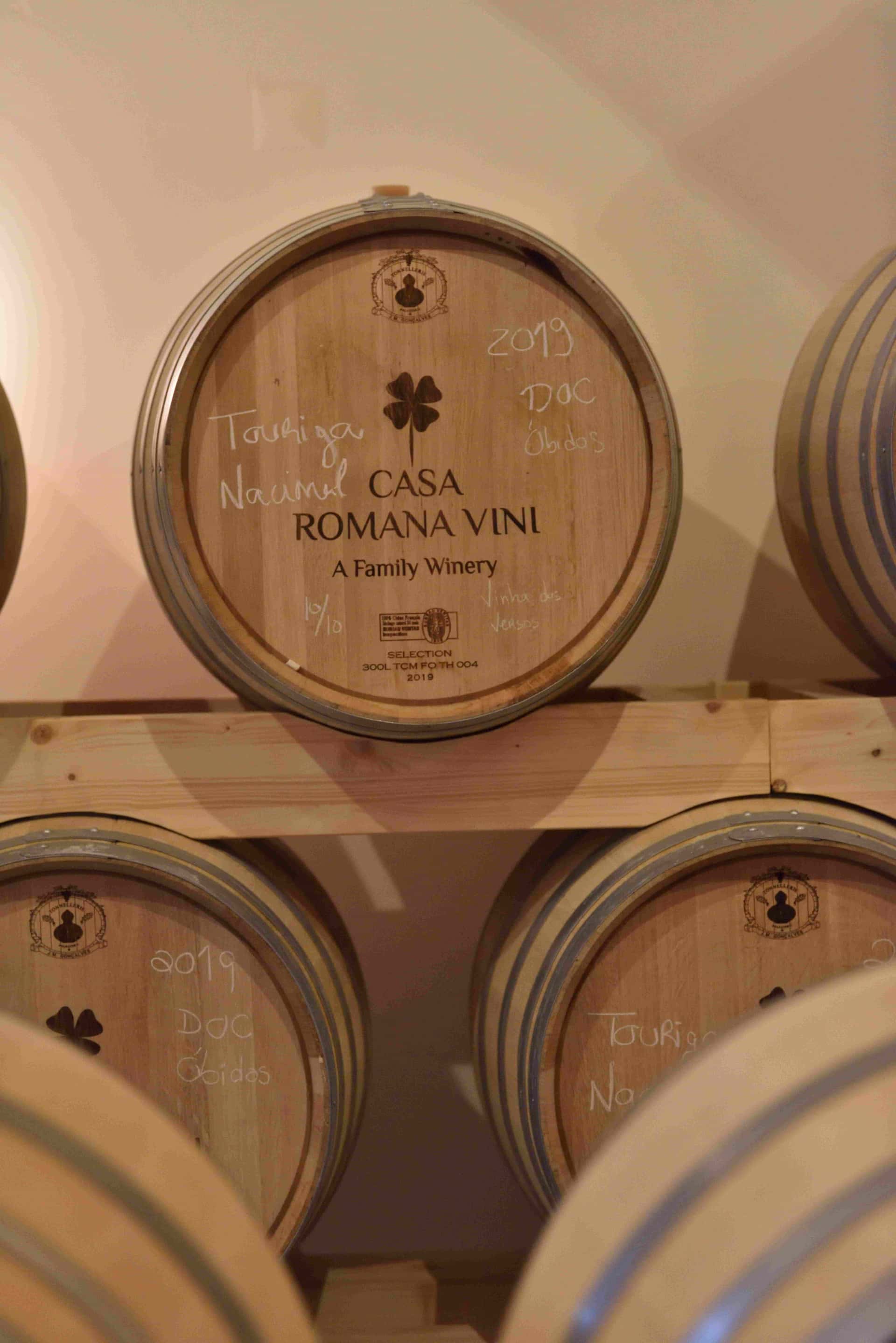 Vintur på Casa Romana Vini med 3 vinprovningar och…