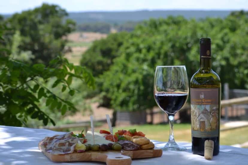 Experiência completa de vinhos na Masseria Torricella