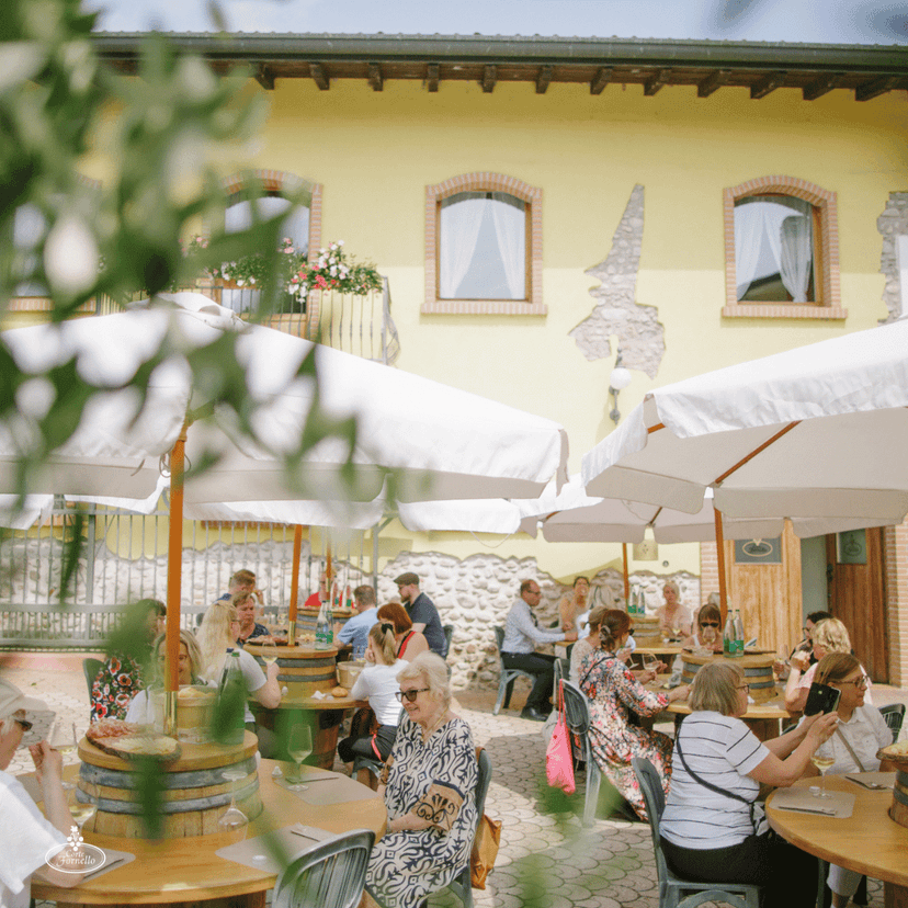 Goles de verão: 3 vinhos jovens com visita guiada à adega em Valeggio sul Mincio