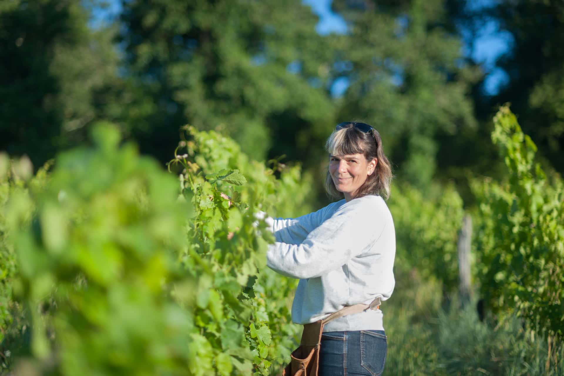 Degustação de vinhos e visita ao Château Mons La Graveyre