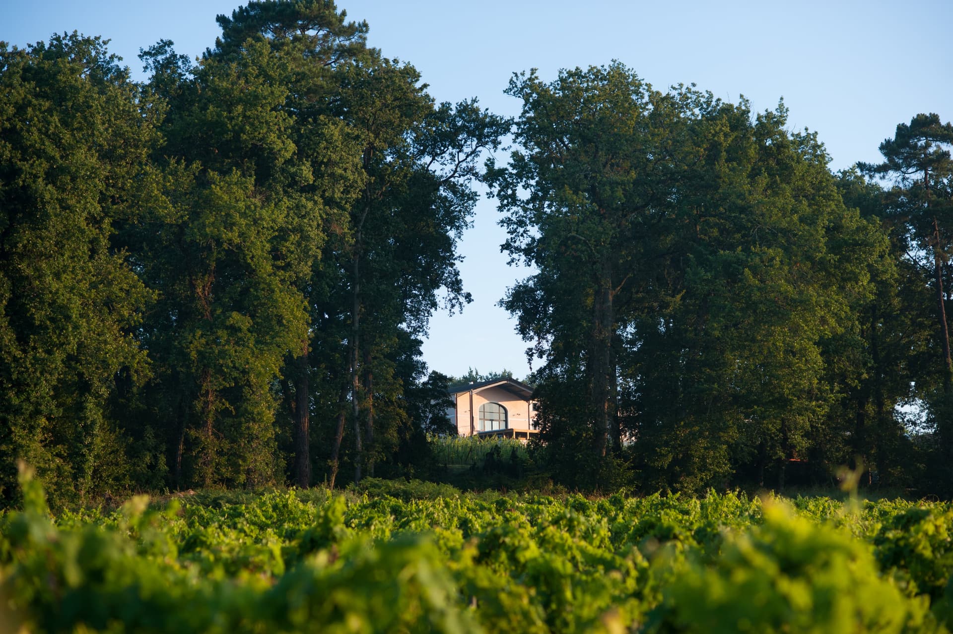 Degustação de vinhos e visita ao Château Mons La Graveyre