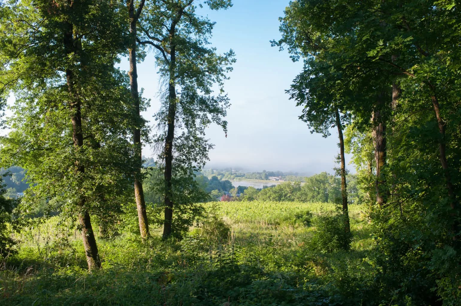 Château Mons La Graveyre