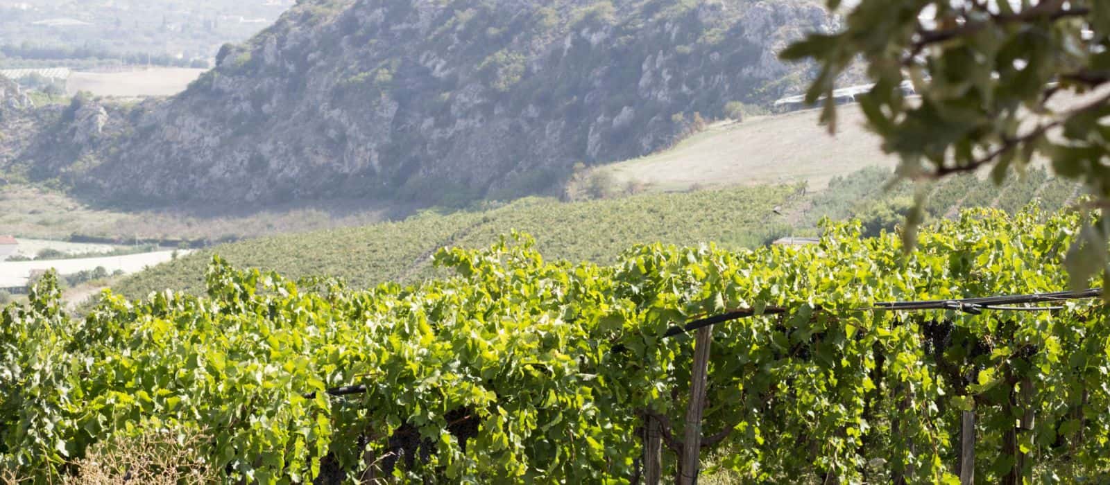 Complexe Brunch & Vin au Baglio Bonsignore