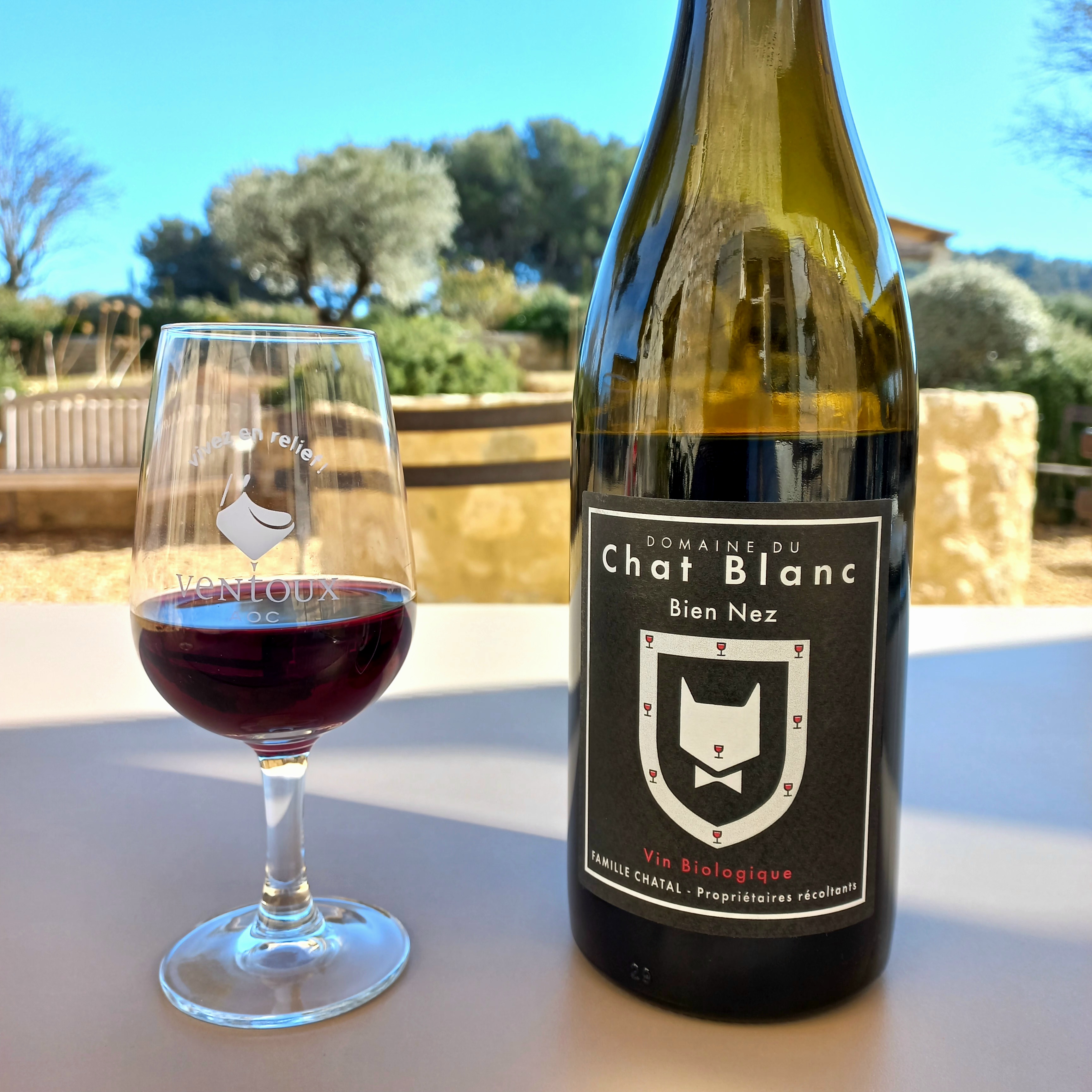 Visit to the Winery and Organic Wine Tasting