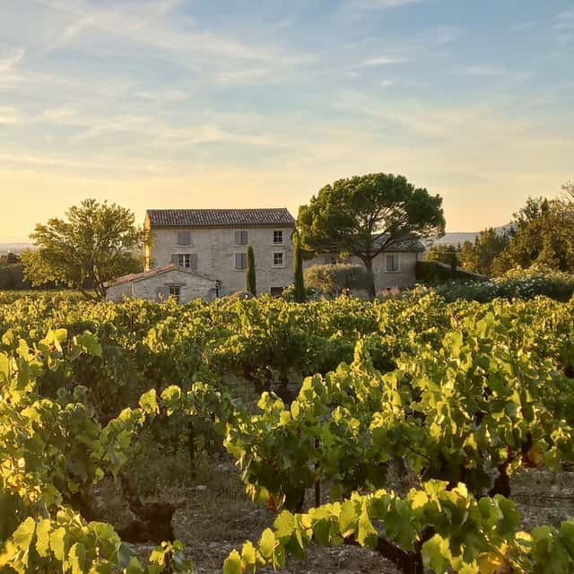 Domaine du Chat Blanc