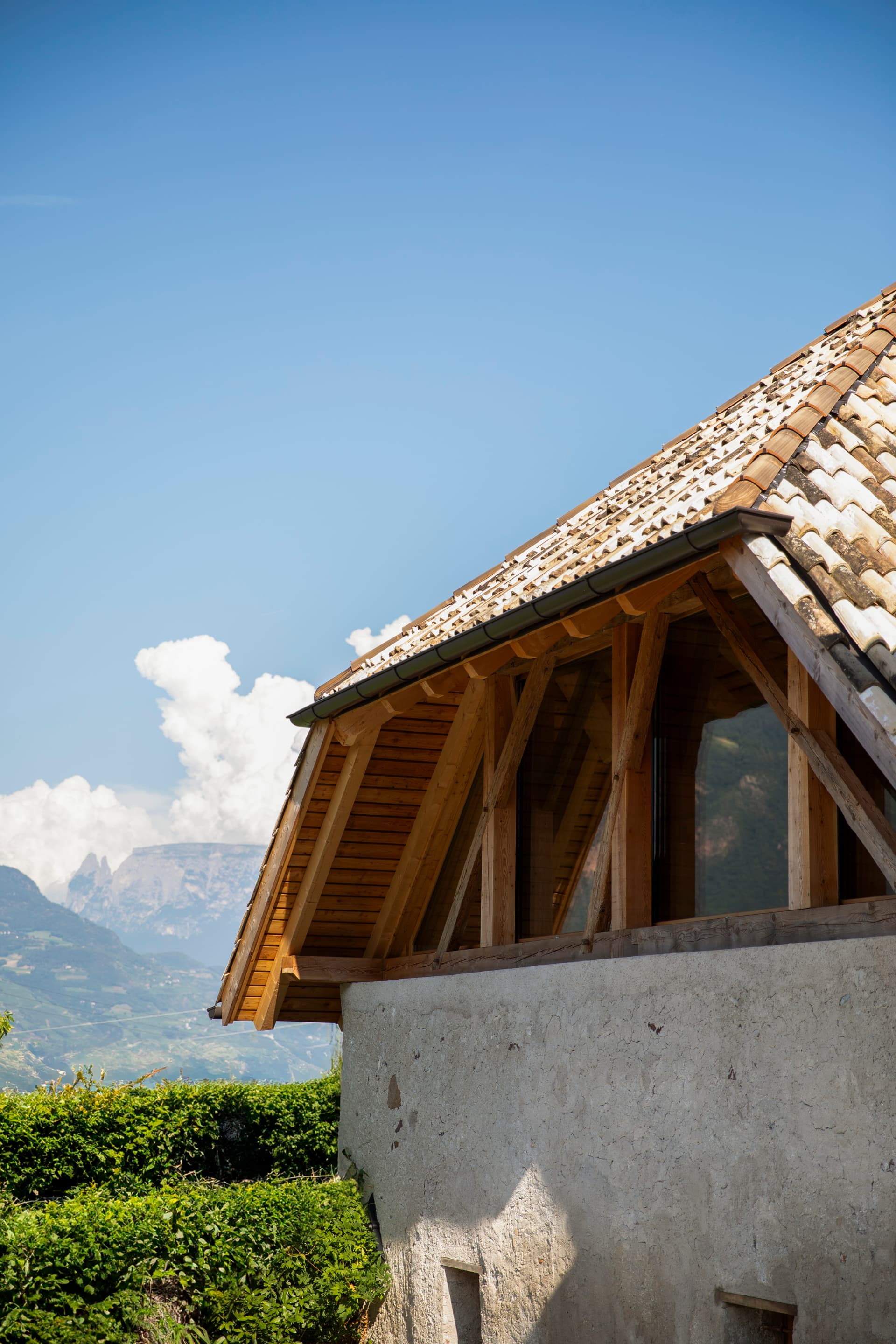 Taste Organic Wines from Trentino-Alto Adige