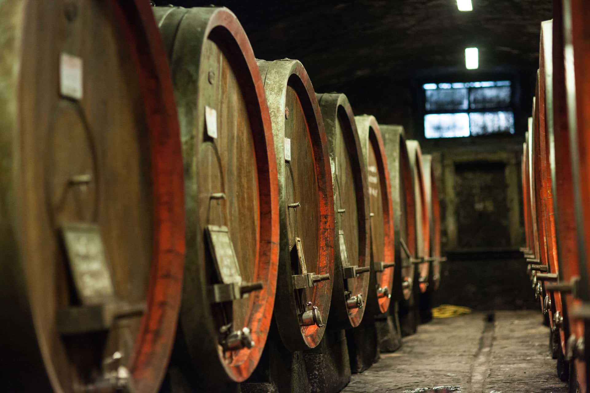 Experiência Chianti Rufina na Villa Travignoli