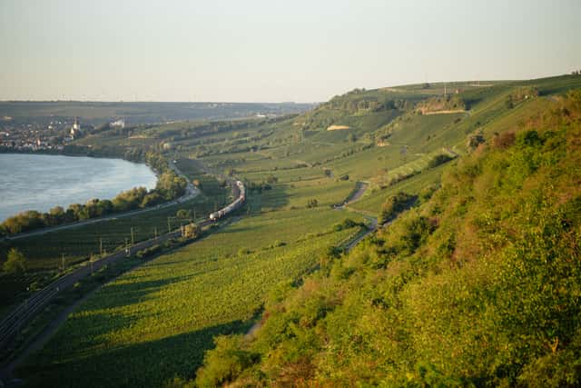 Weingut Gunderloch