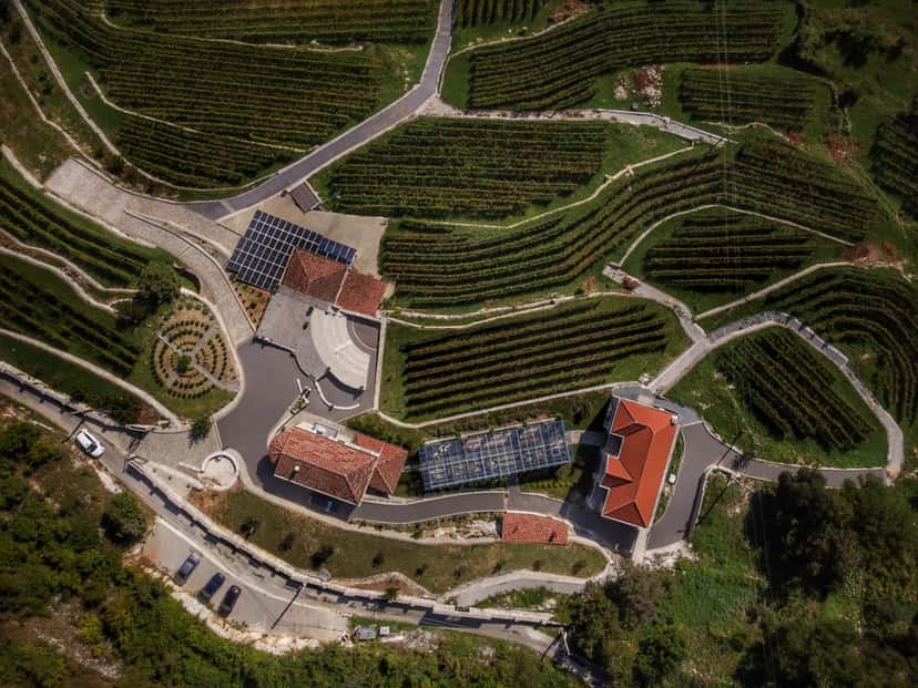 Visite du domaine viticole Markovic et dégustation de 5 vins