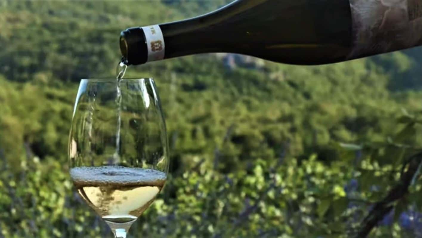 Visita y Cata de 3 Vinos