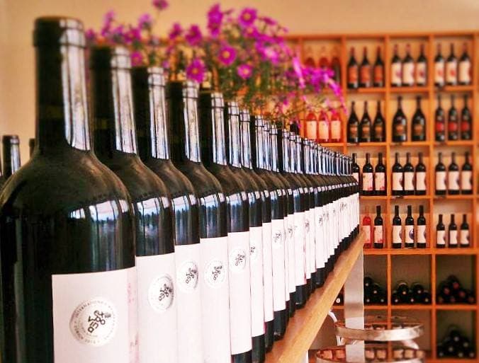 Cata de 4 vinos tintos en Terres de Lavaux
