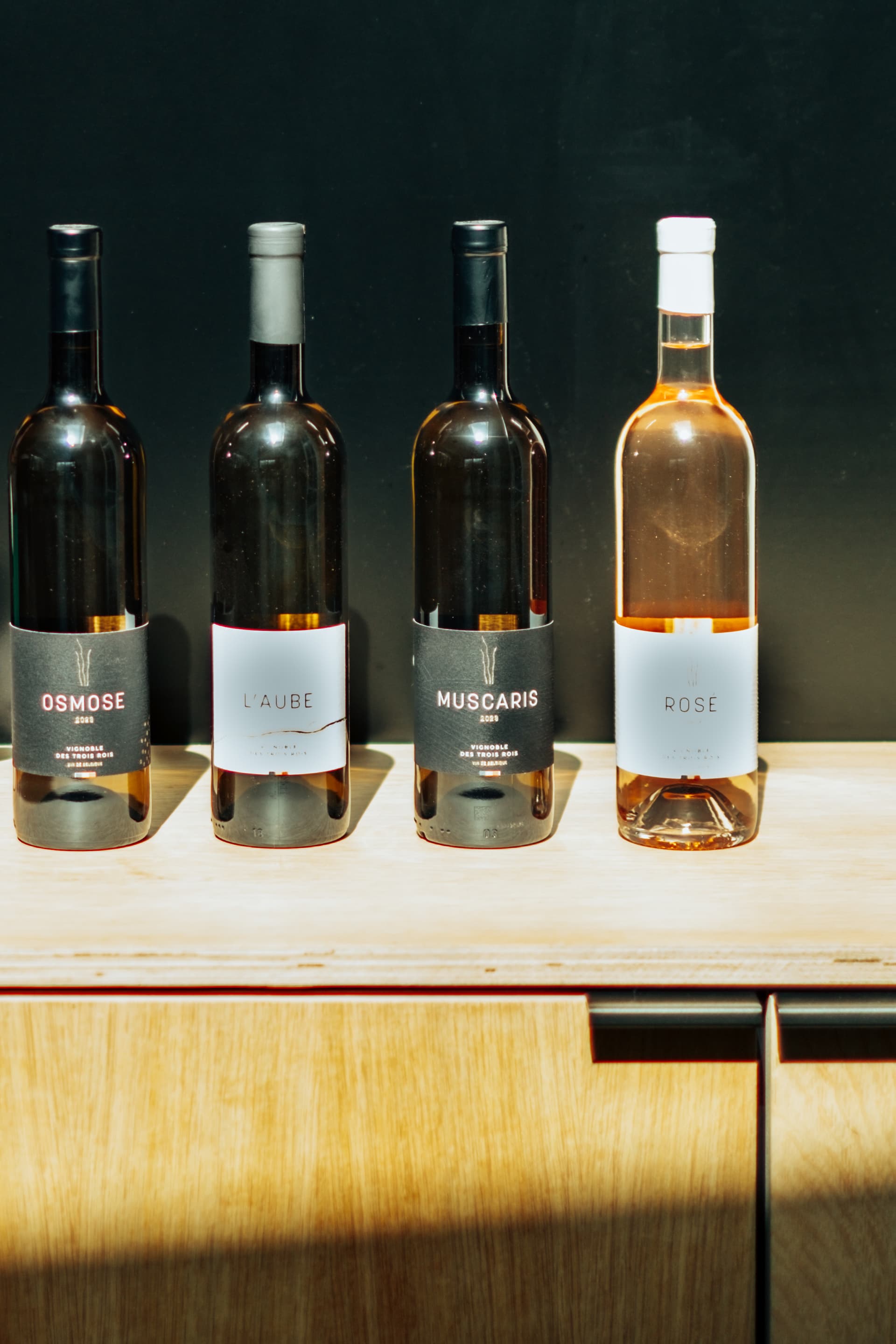 Degustação de vinhos e passeio pelos vinhedos