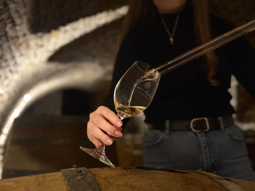 Fassverkostungserlebnis – 6 Weine, darunter 1 Grand Cru und 2 Weine direkt aus dem Fass