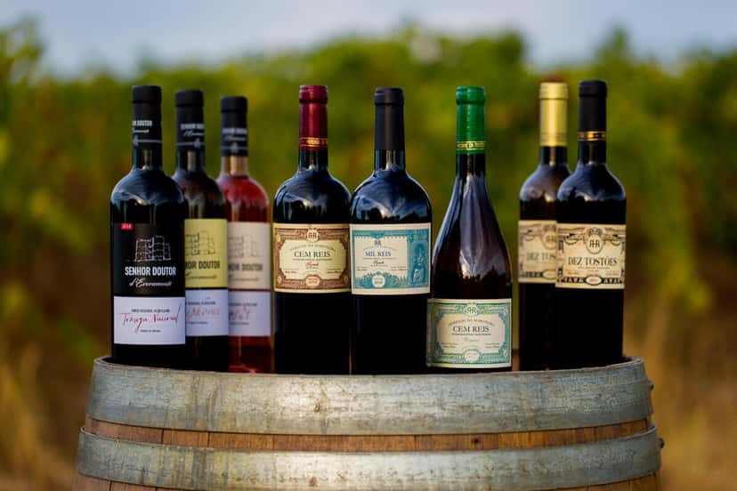 Discover the Essence of Maroteira Vinhos Wines