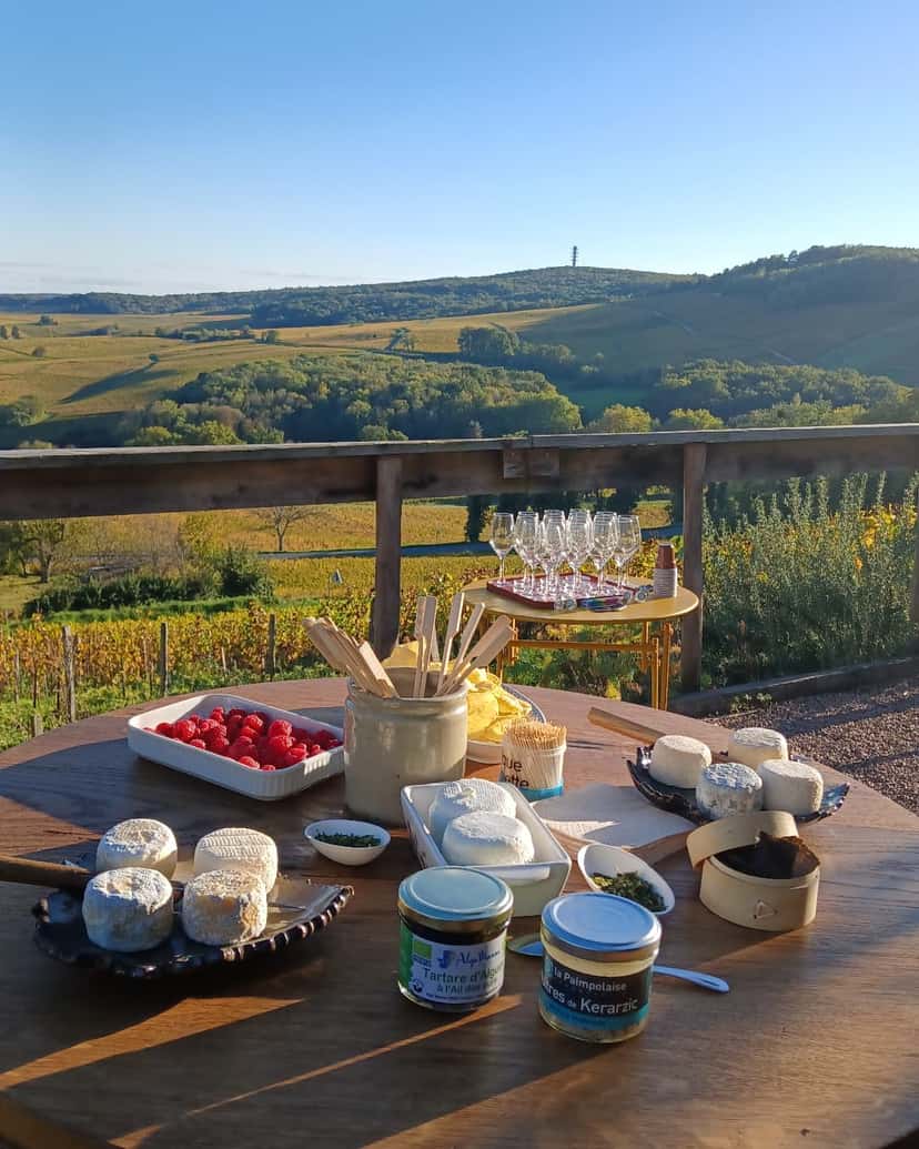 Wine and Crottin de Chavignol tasting at the vineyard cabin at Vincent Grall Vigneron
