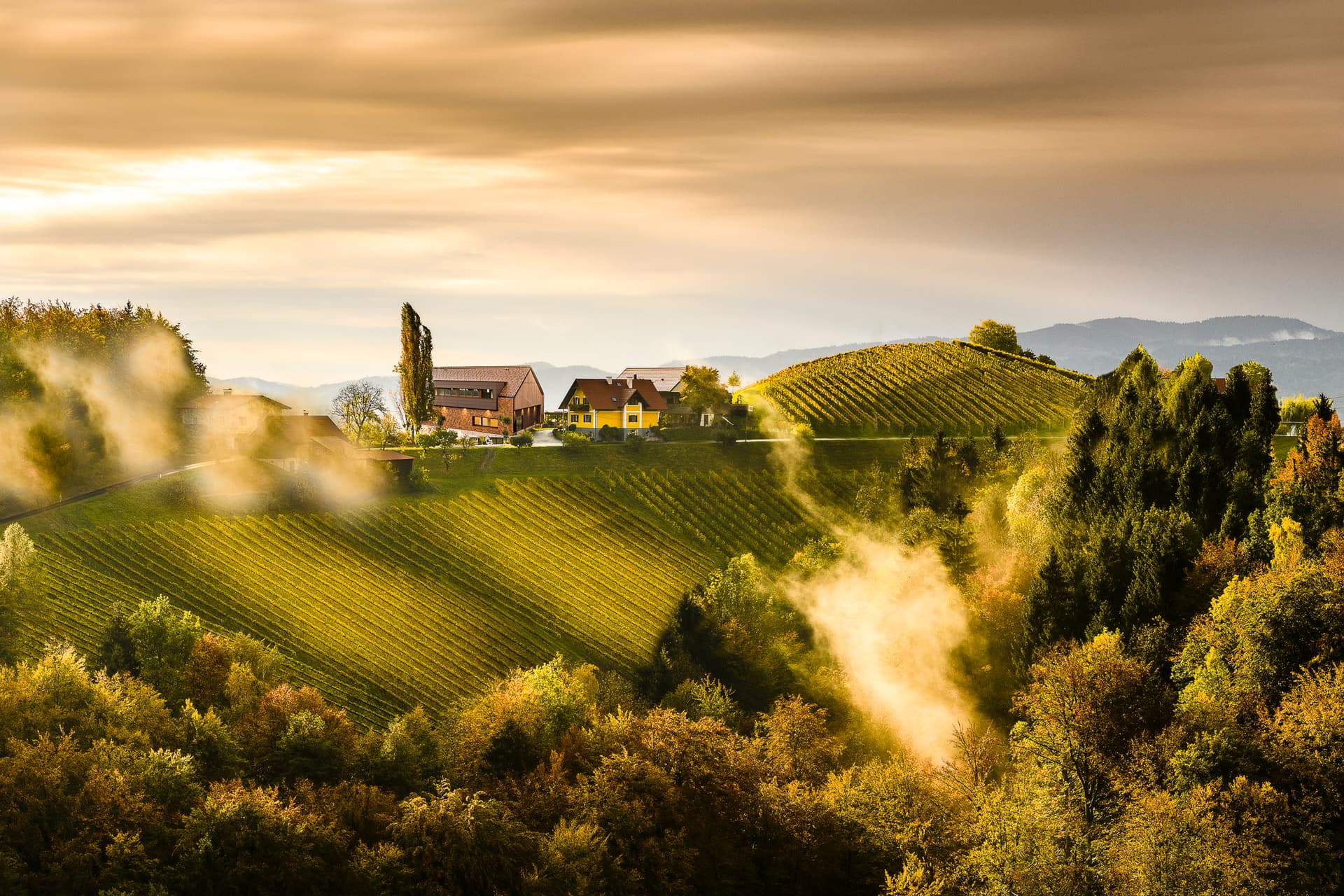 Winery Adam-Lieleg Foto 3