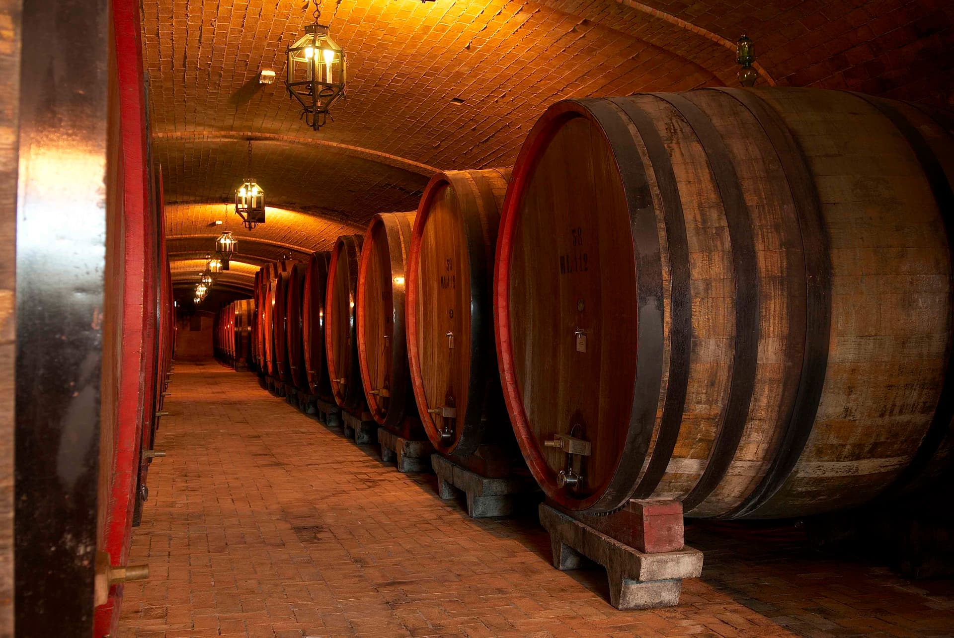 Vecchia Cantina Di Montepulciano photo 3
