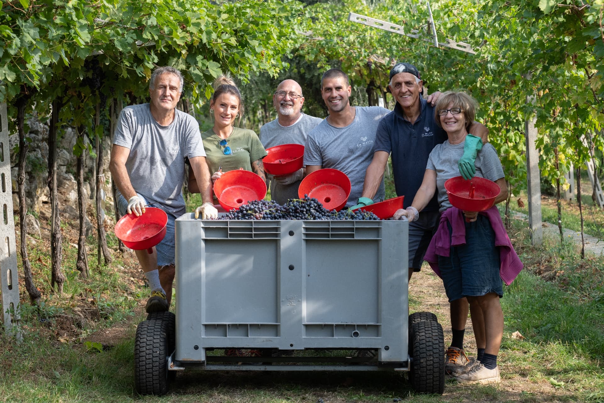 Cantina Ca'Matta - Organic Wines from Veneto Foto 1