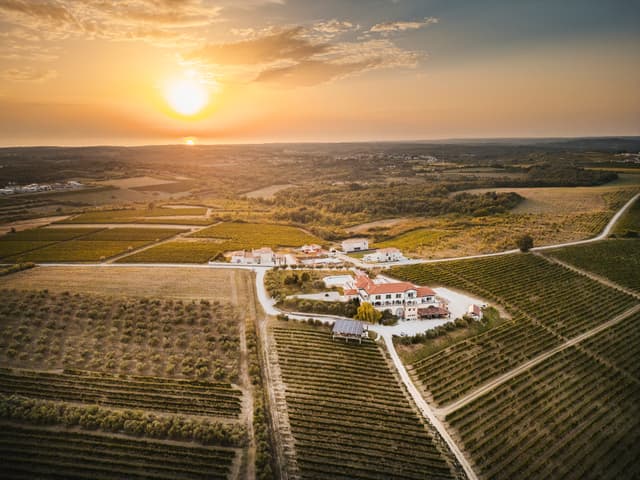 Cattunar Winery