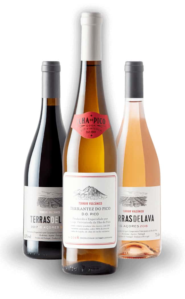 One, Two, Terroir – Dégustation de vins à la coopérative…