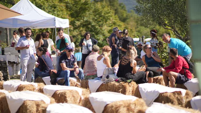 Adoptera en vinrad i Tenuta Vignanova