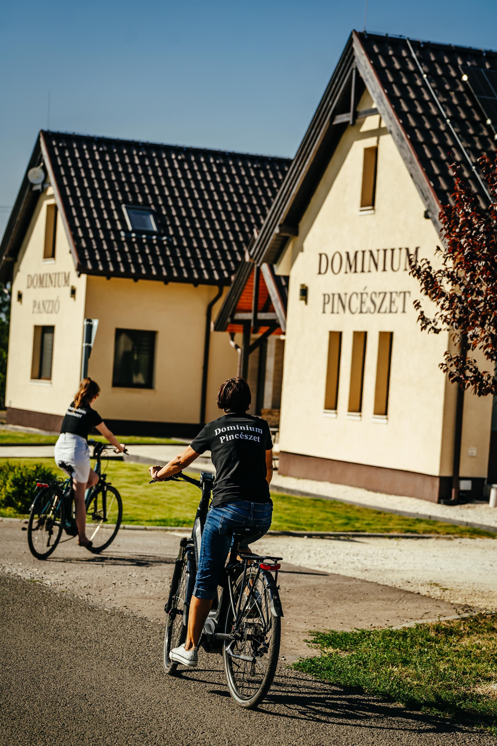 Upper Hungary Grand Selection Vineyard Journey