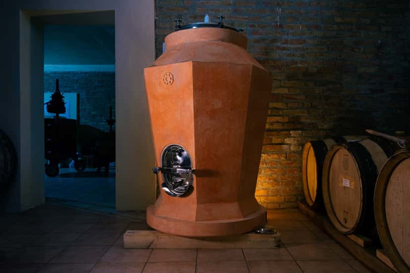 Discover Calabria’s Vineyards & Rare Eleuteria Tasting