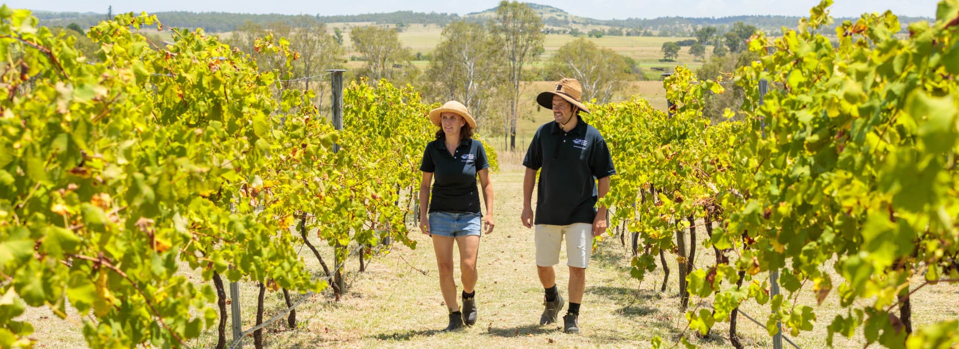 Queensland Vineyard Tour, Wine & Tagliere Tasting