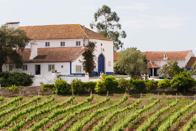 Quinta do Olival da Murta