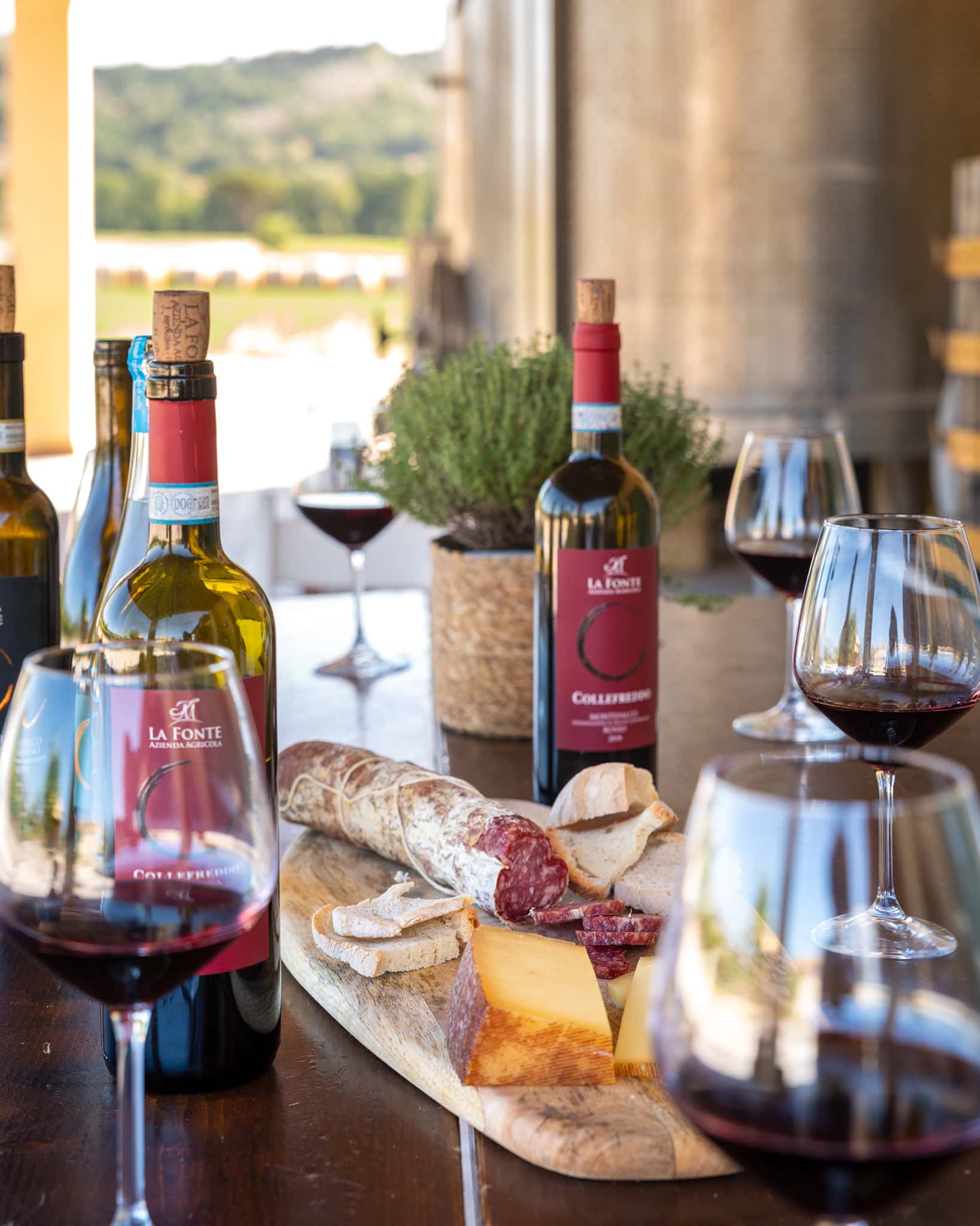 Degustação de vinhos da Úmbria e almoço leve na adega