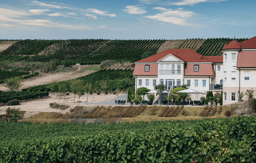 Neverland Vineyards