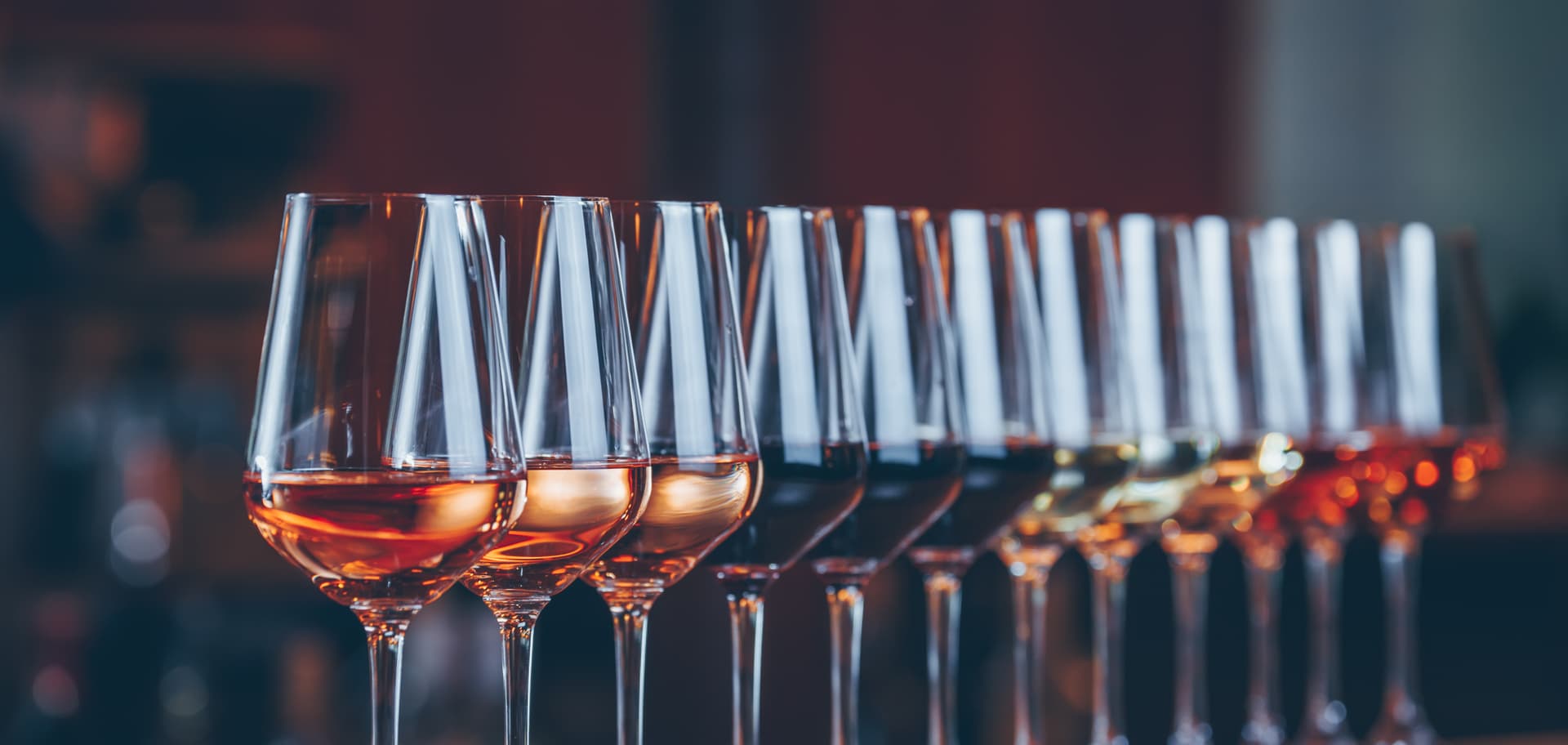 Württemberg Wine Discovery Tasting