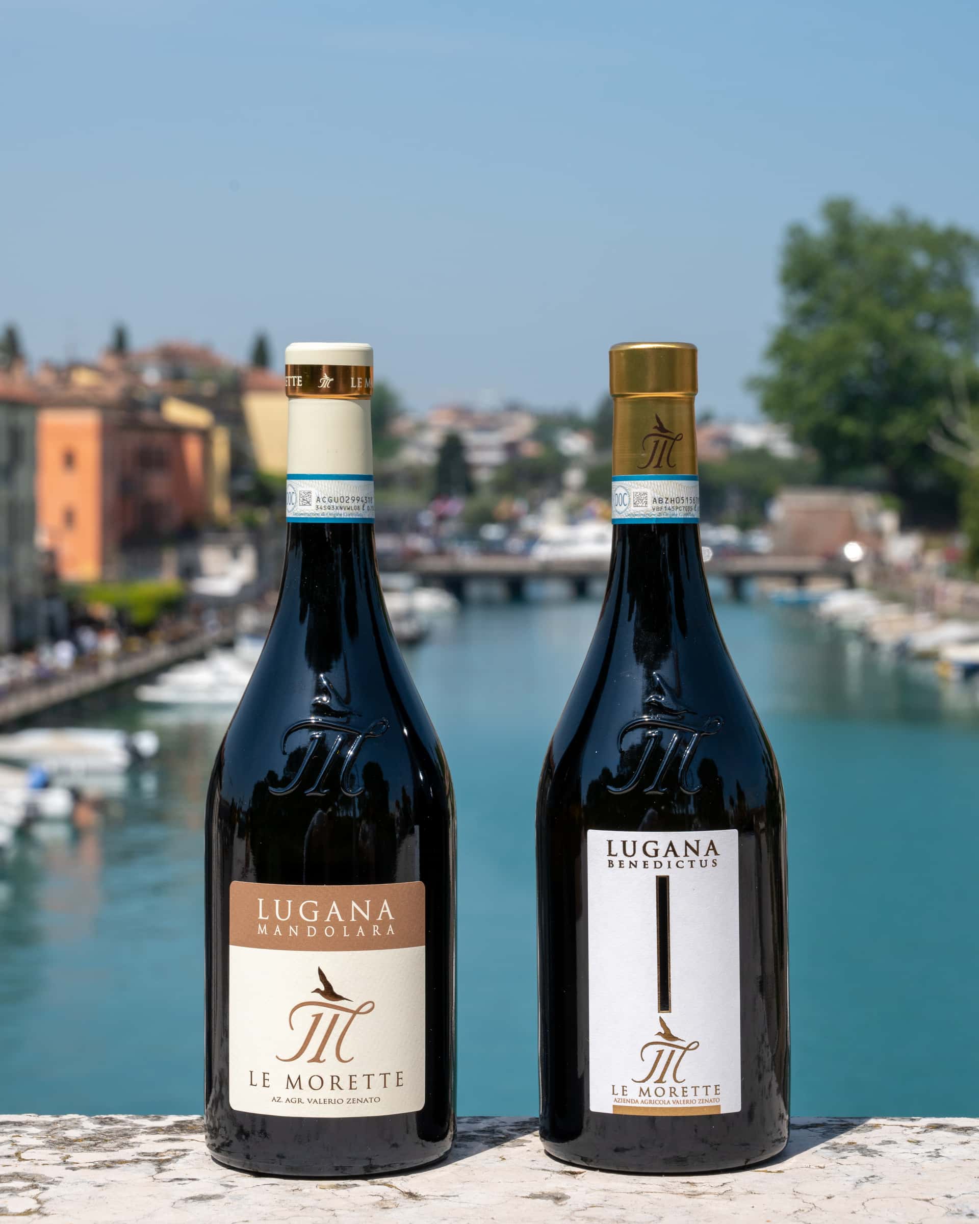 Degustação de vinhos e tour no Le Morette Di Valerio Zenato