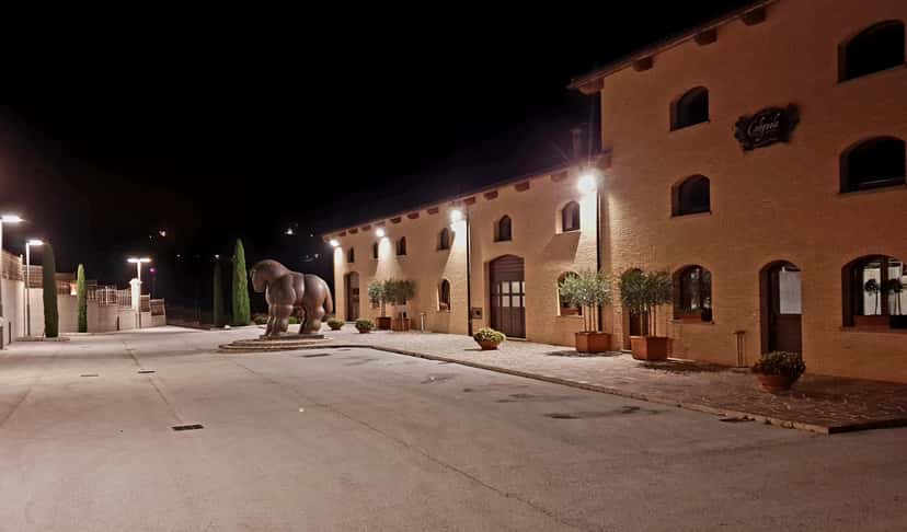 Weinprobe und Führung in der Cantina Colognola