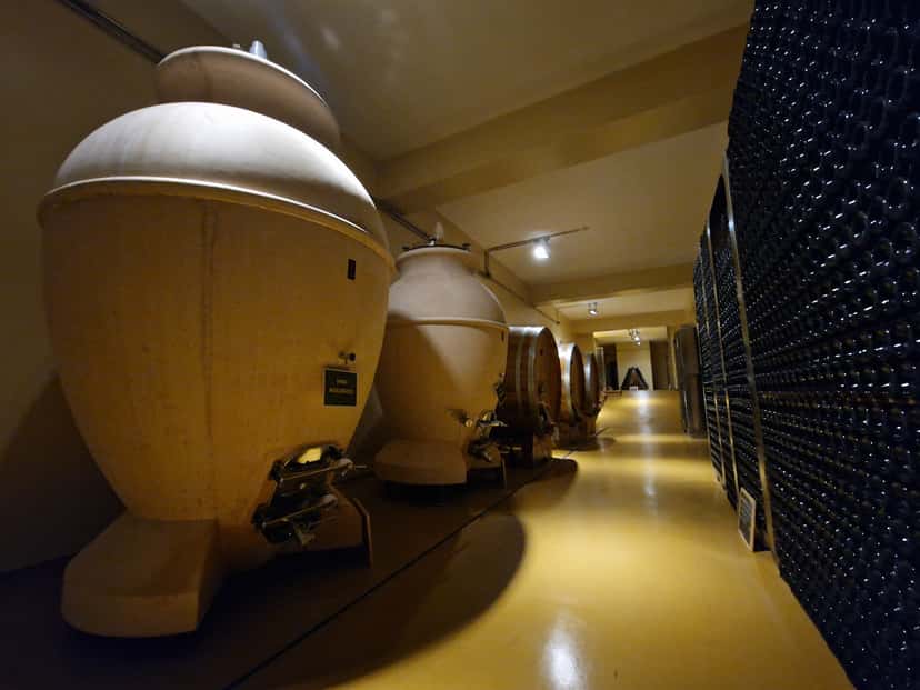 Cantina Colognola - Tenuta Musone