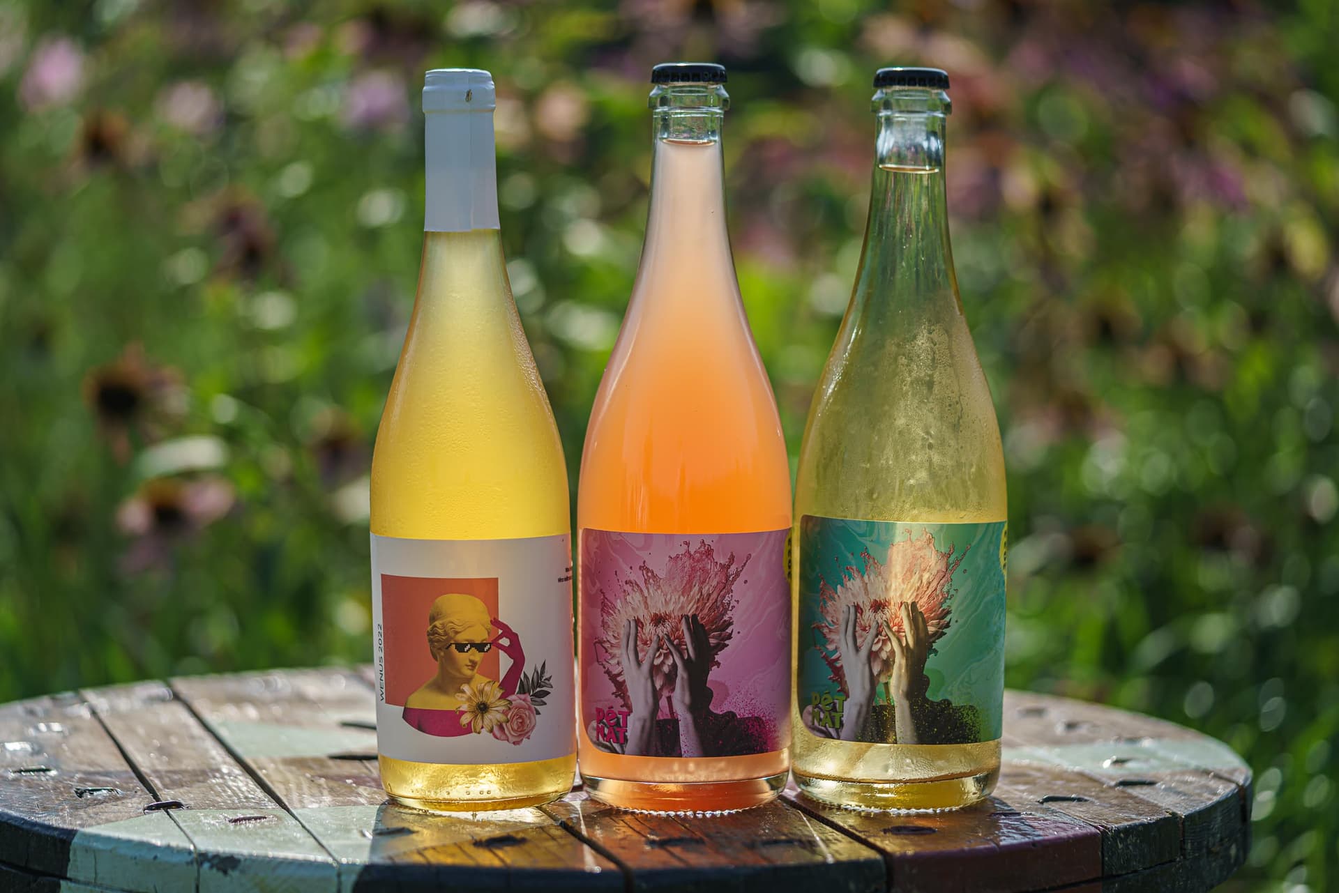 Kosmos Winery foto 4