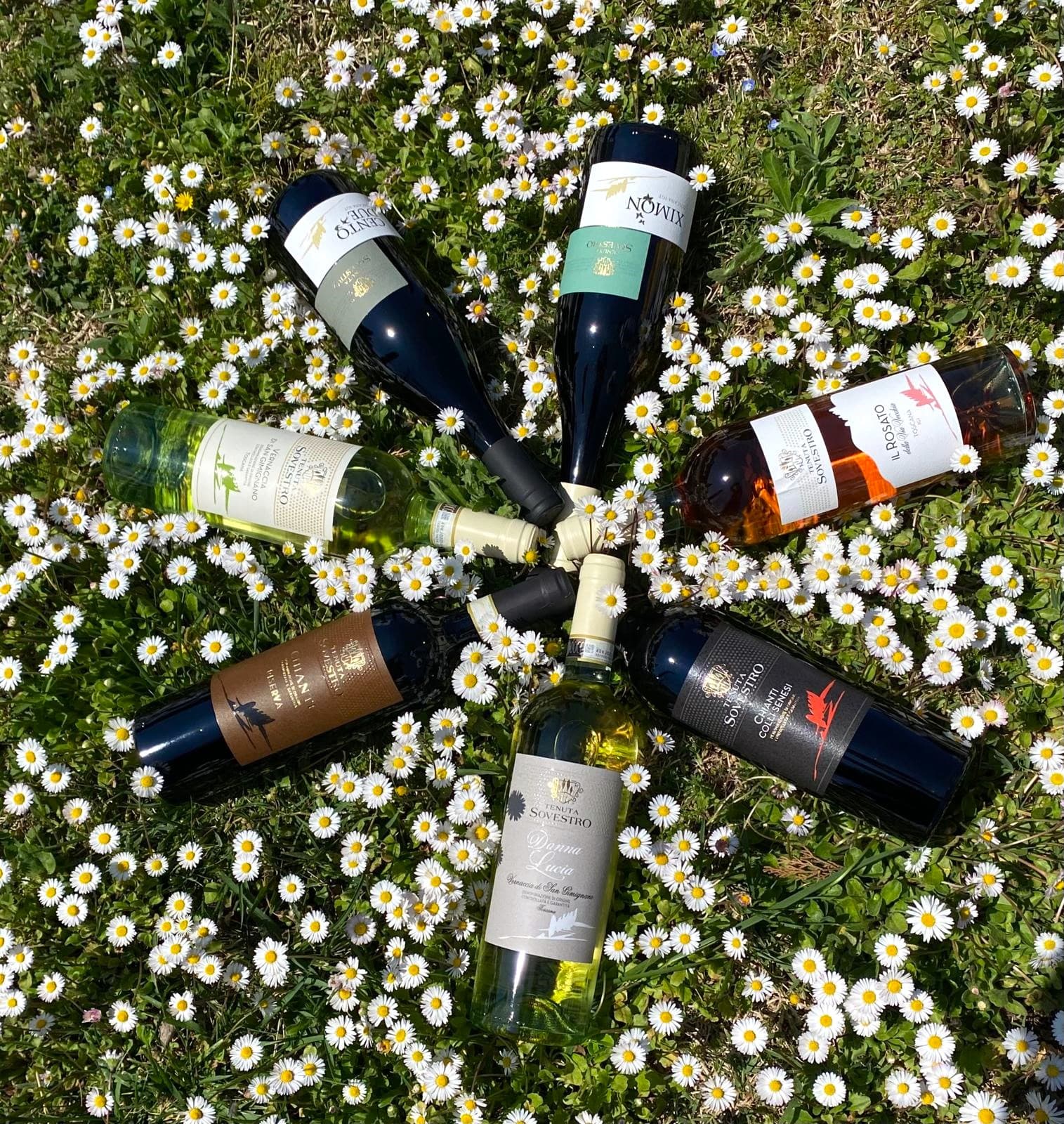TENUTA SOVESTRO foto 3