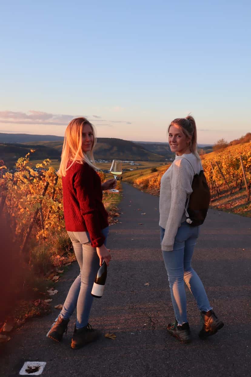 Mosel Vineyard Hike & Virtual Wine Journey