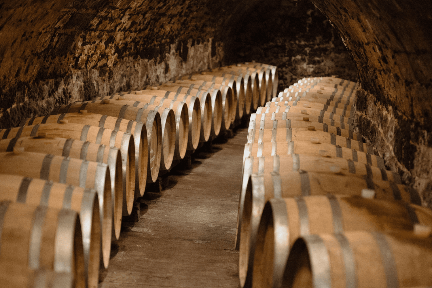 Degustazione di vini e caccia al tesoro in cantina con 6 vini dolci