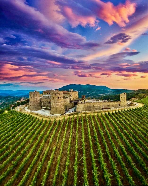 Umfassendes Weinerlebnis im Weingut Verrone und Besuch des alten Weinbergs rund um die Burg Rocca Cilento
