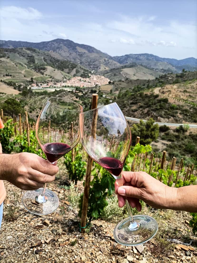 Catalan Vines & Wines: Tentiber Tasting Tour