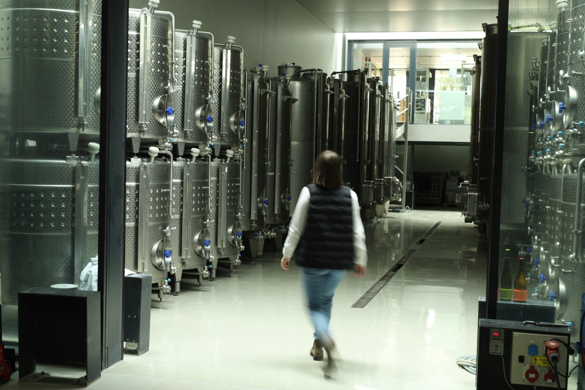 Degustazione di vini e tour della cantina a Holdvölgy