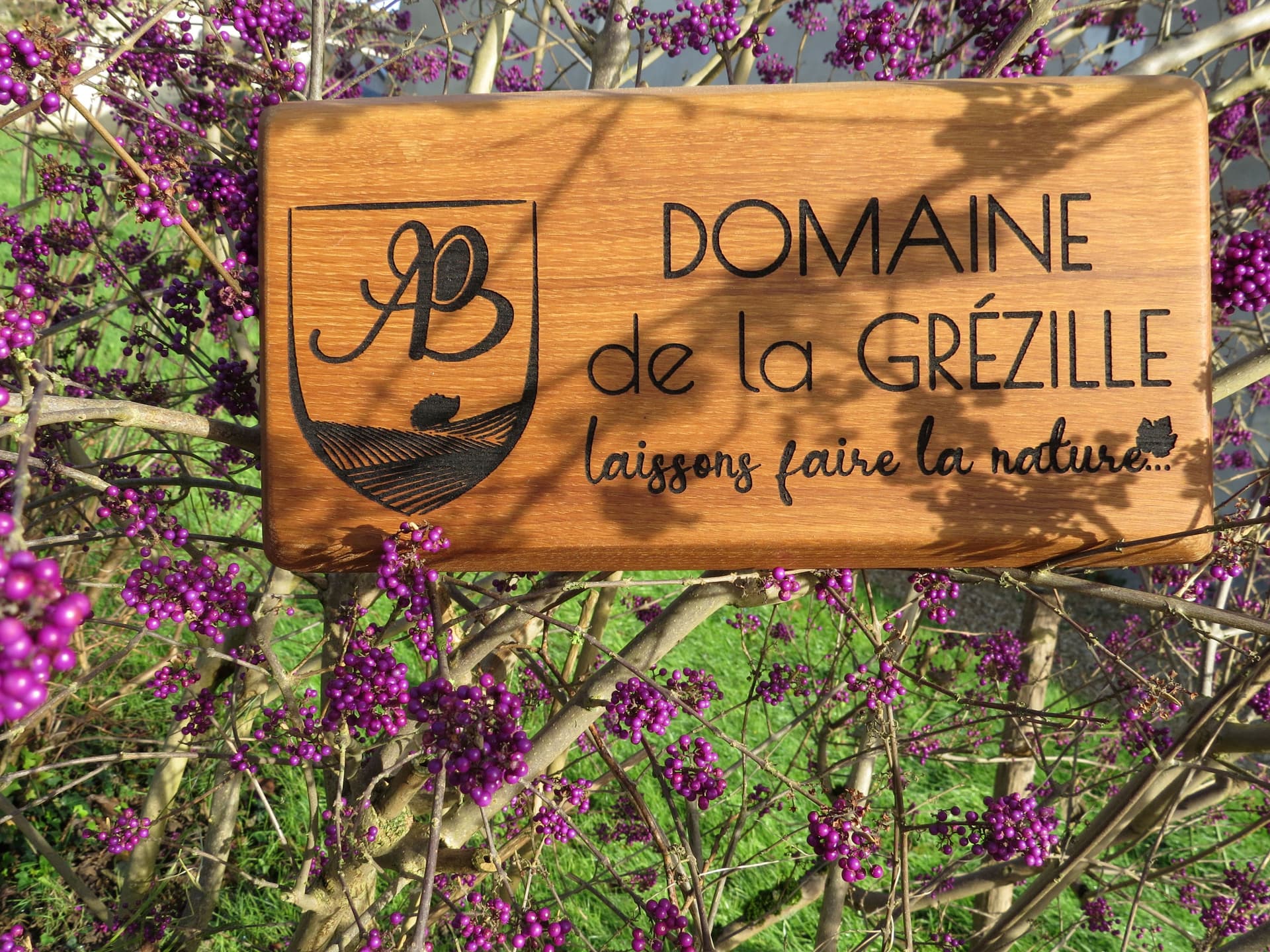 Domaine de la Grézille Foto 4