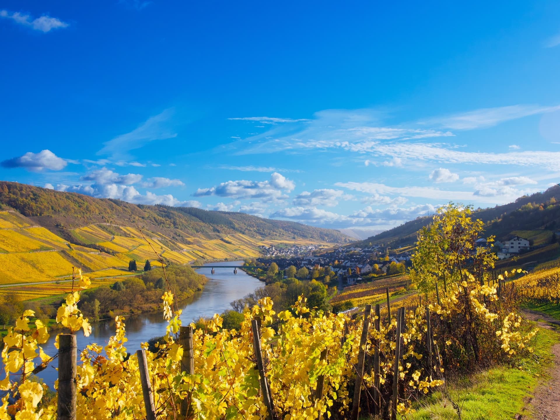 Weingut Arns